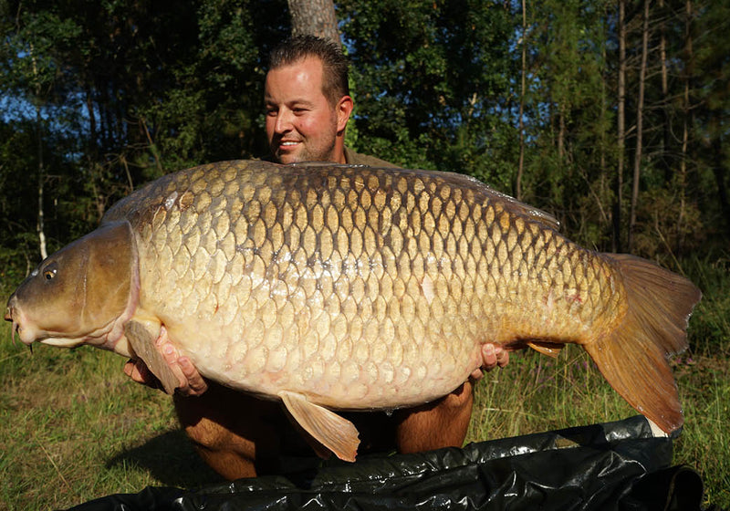 Solar Tackle EU